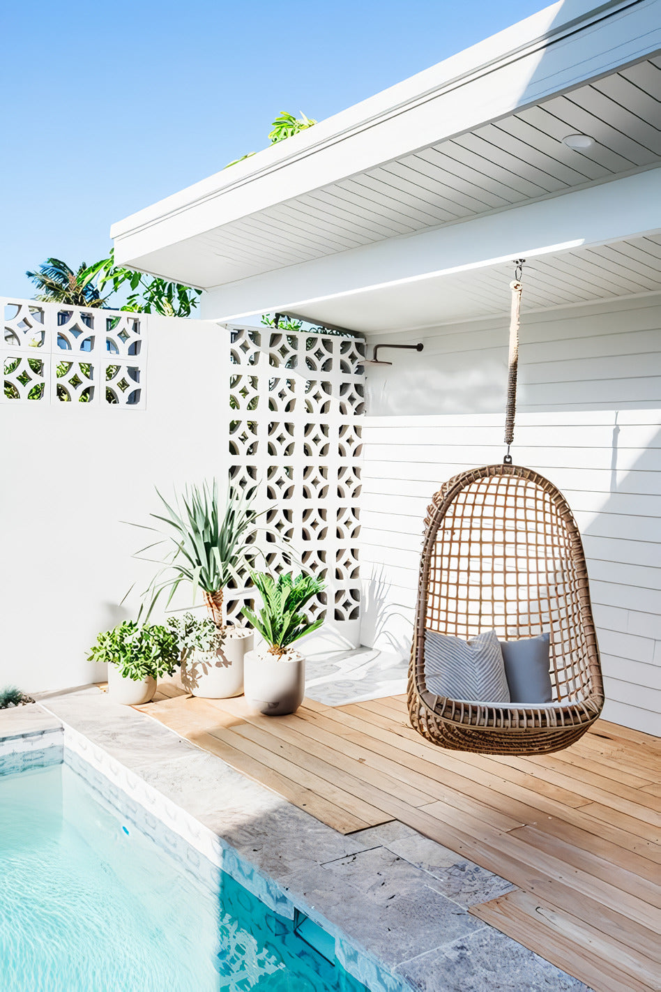 Palm Breeze